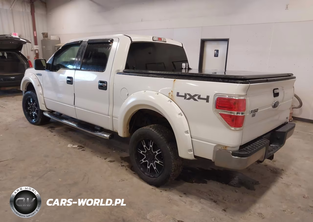 2010 Ford F-150 Fx4-Harley-Davidson-King Ranch-Lariat-Platinum-Xl-Xlt VIN:1FTFW1EVXAFB36654 - 3