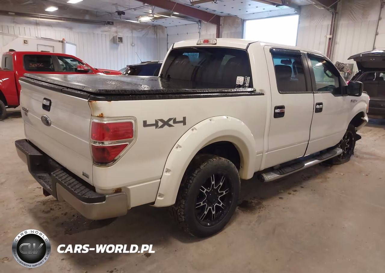 2010 Ford F-150 Fx4-Harley-Davidson-King Ranch-Lariat-Platinum-Xl-Xlt VIN:1FTFW1EVXAFB36654 - 4