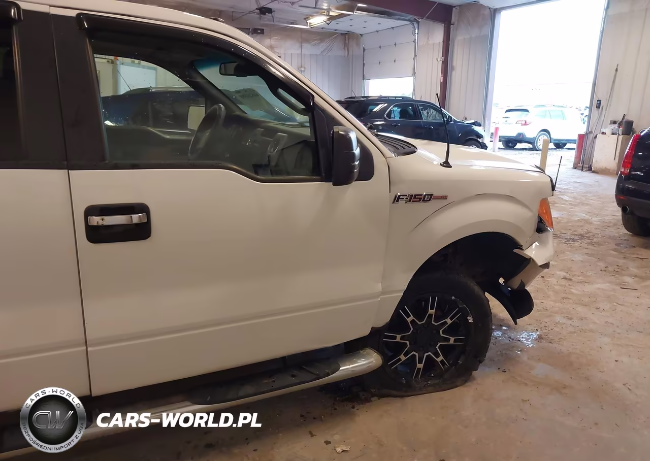 2010 Ford F-150 Fx4-Harley-Davidson-King Ranch-Lariat-Platinum-Xl-Xlt VIN:1FTFW1EVXAFB36654 - 6