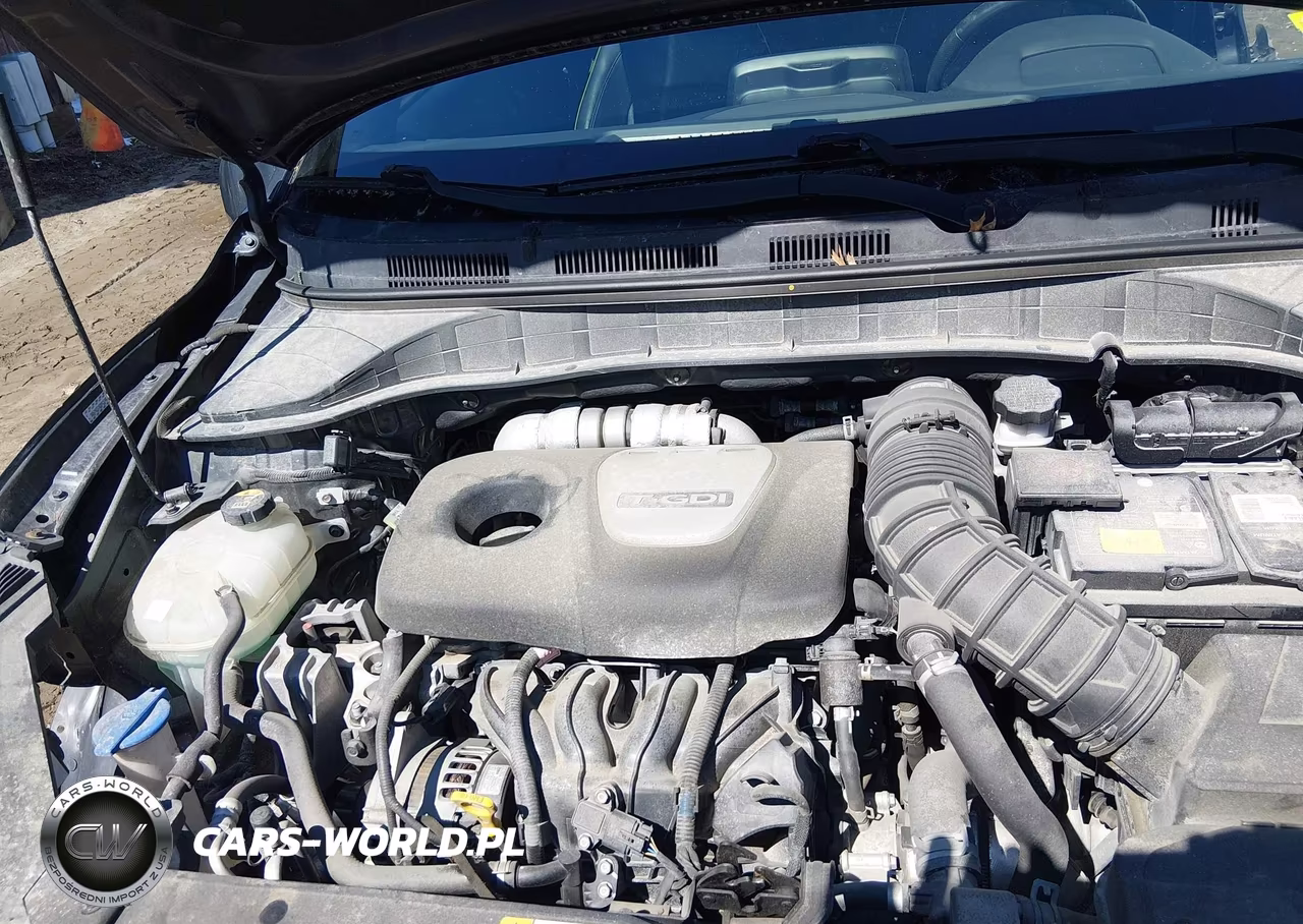 2019 Hyundai Kona Ultimate VIN:KM8K53A58KU202985 - 10