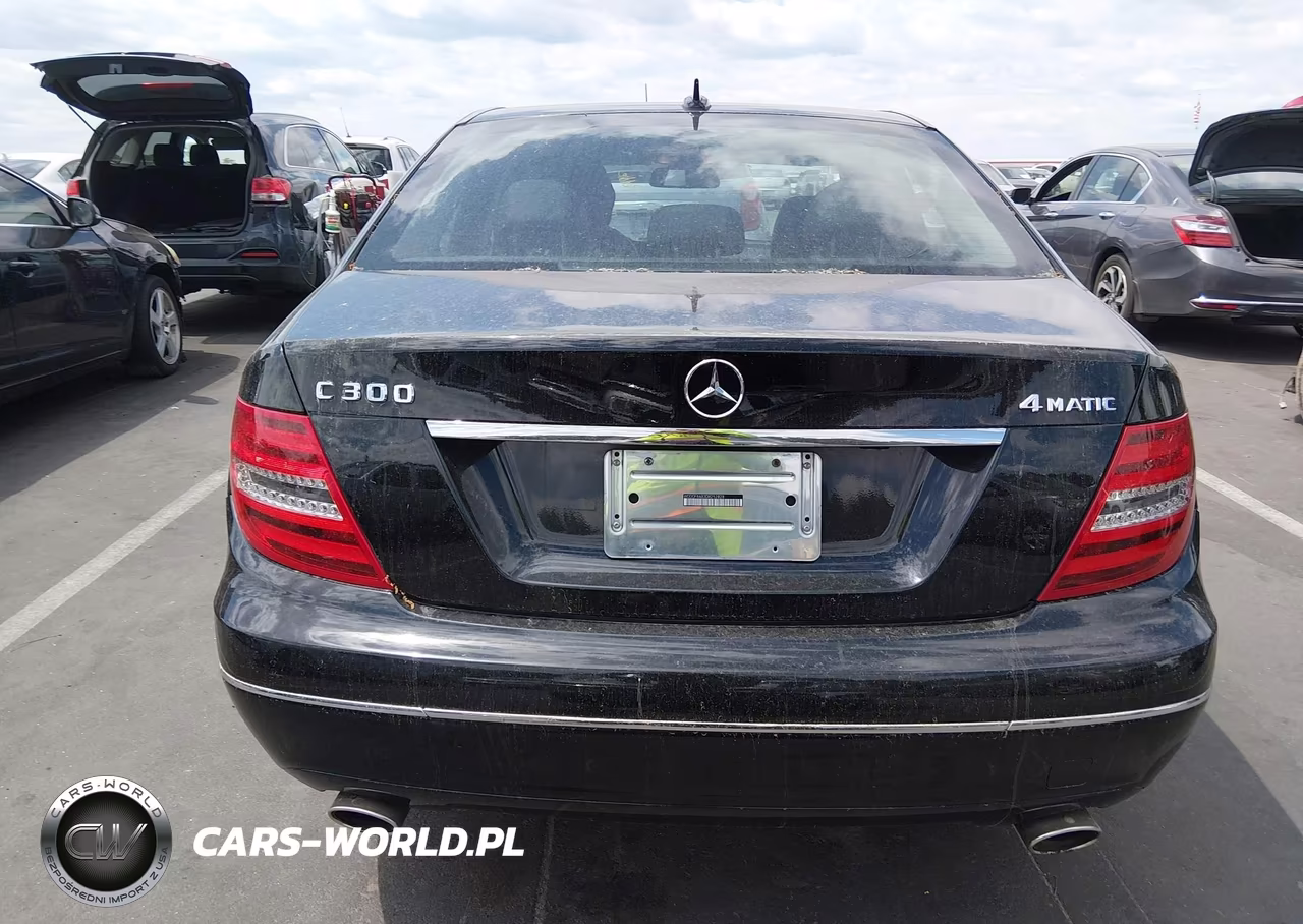 2013 Mercedes-Benz C 300 Luxury 4Matic VIN:WDDGF8AB3DR252828 - 16