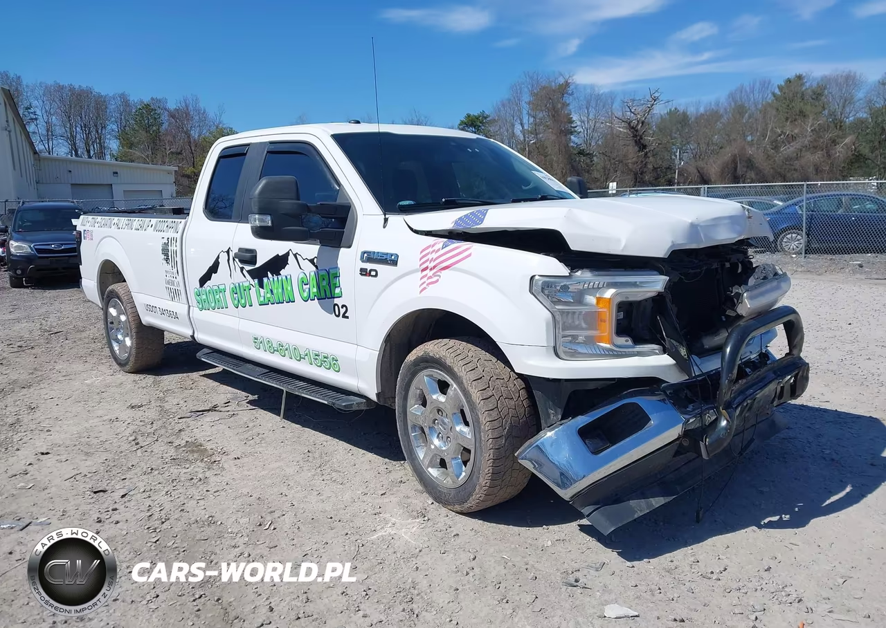 2019 Ford F-150 Xl – zdjęcie 1 z 16