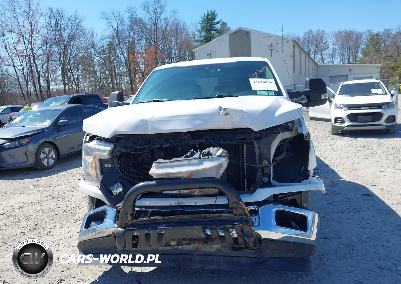 2019 Ford F-150 Xl VIN:1FTEX1E57KKE67919 - 12