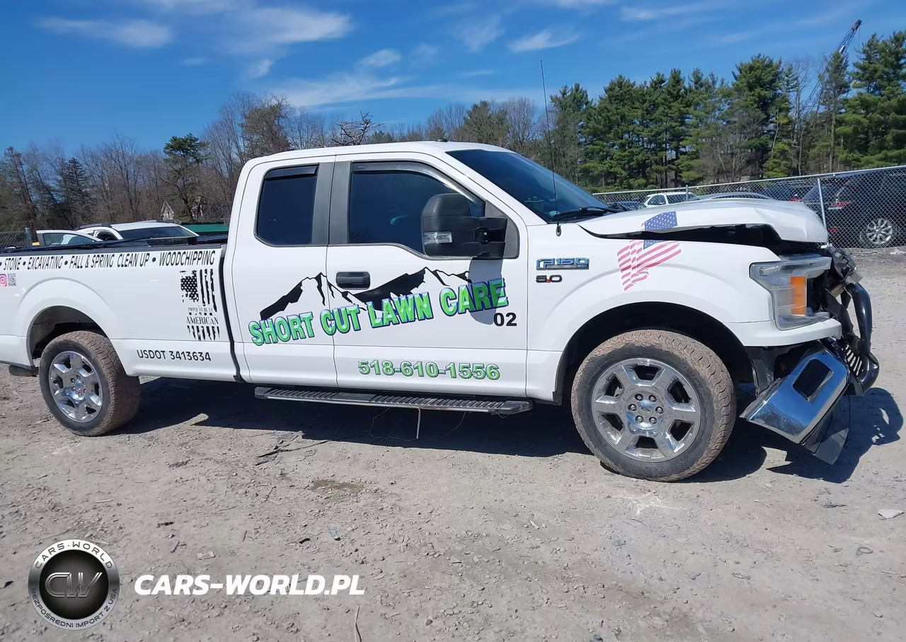2019 Ford F-150 Xl VIN:1FTEX1E57KKE67919 - 13