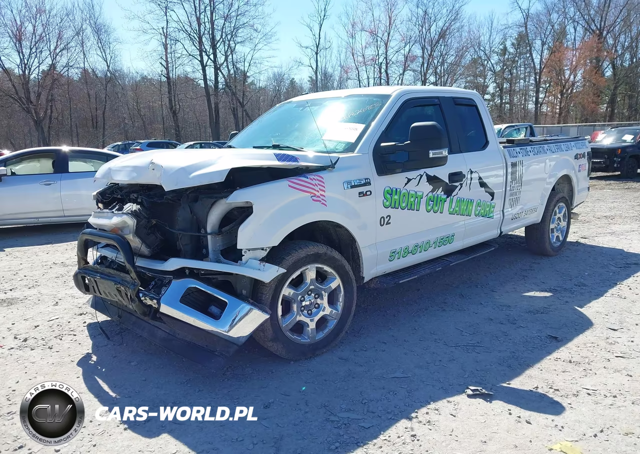 2019 Ford F-150 Xl VIN:1FTEX1E57KKE67919 - 2