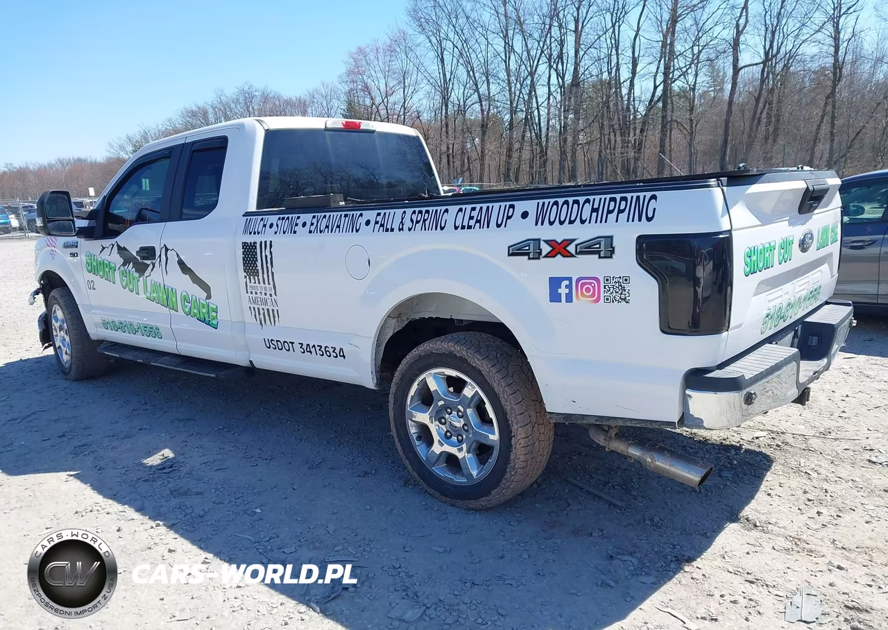 2019 Ford F-150 Xl VIN:1FTEX1E57KKE67919 - 3