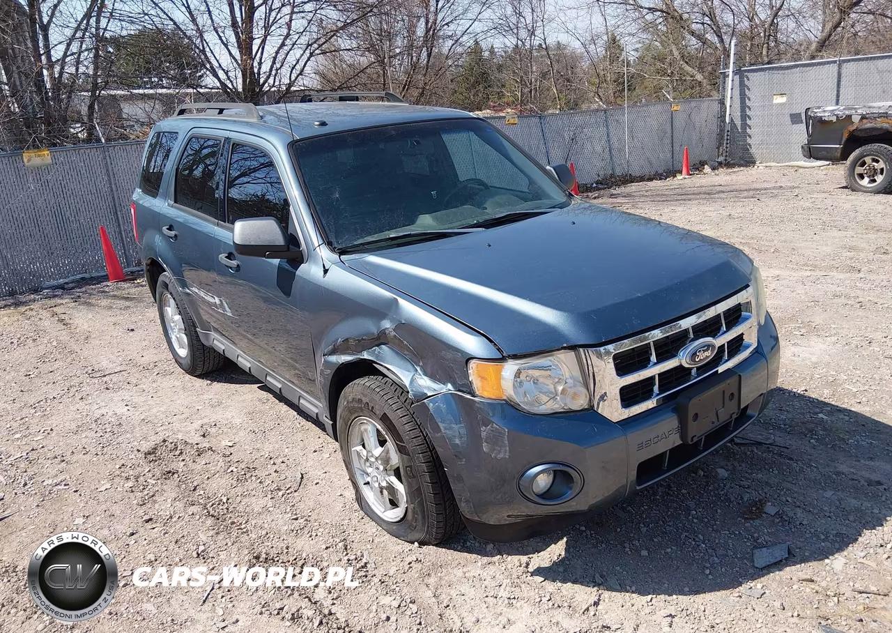 2010 Ford Escape Xlt