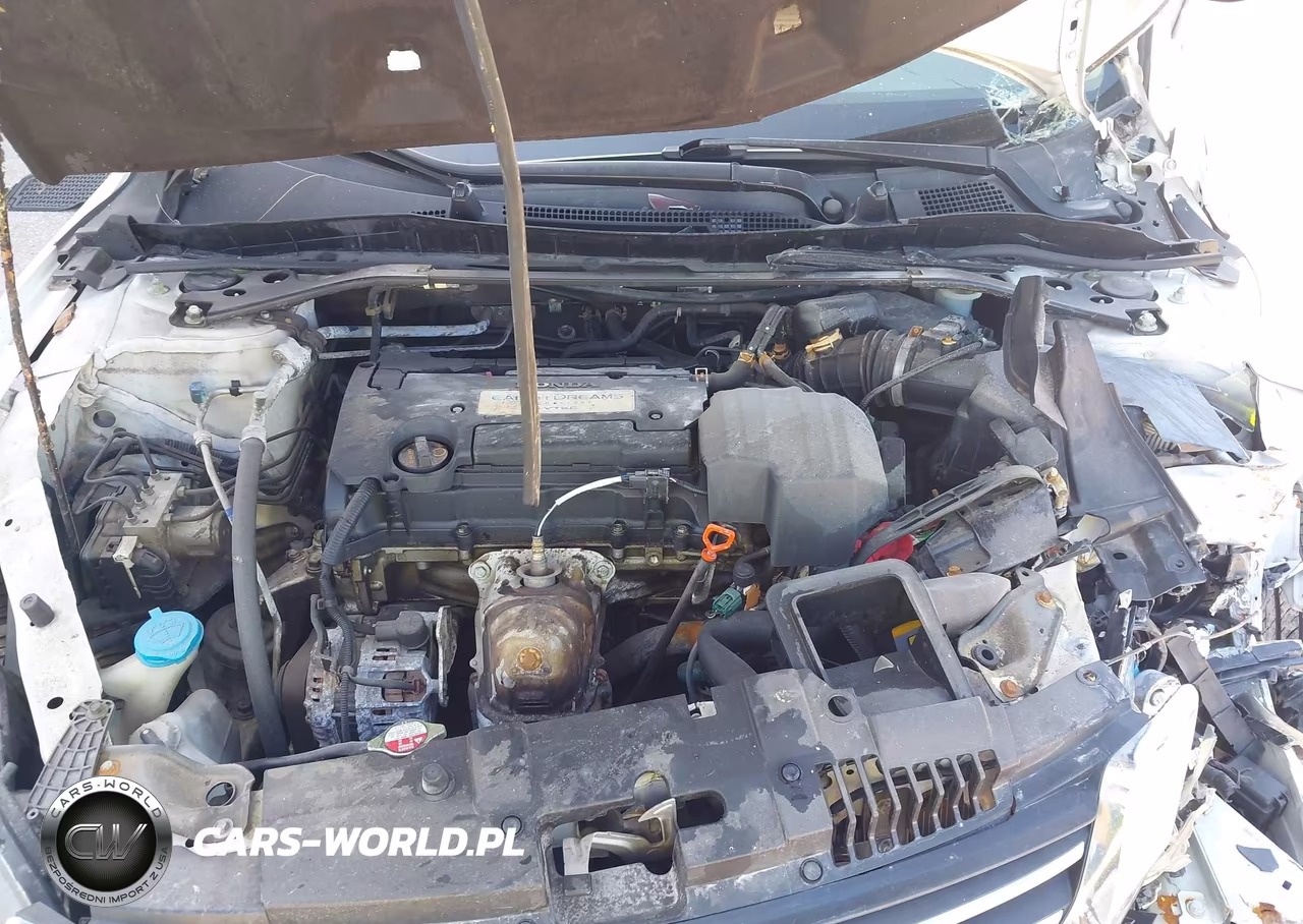 2013 Honda Accord Ex-L VIN:1HGCR2F86DA243907 - 10