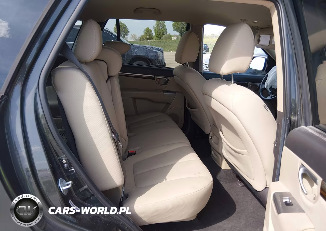 2010 Hyundai Santa Fe Gls VIN:5NMSG3AB8AH373312 - 8