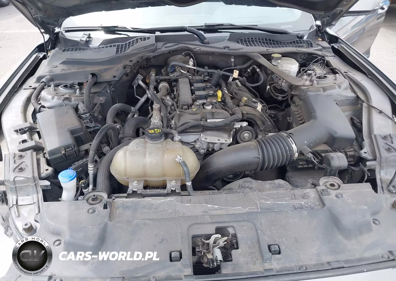 2021 Ford Mustang Ecoboost Premium VIN:1FATP8UH9M5120613 - 10