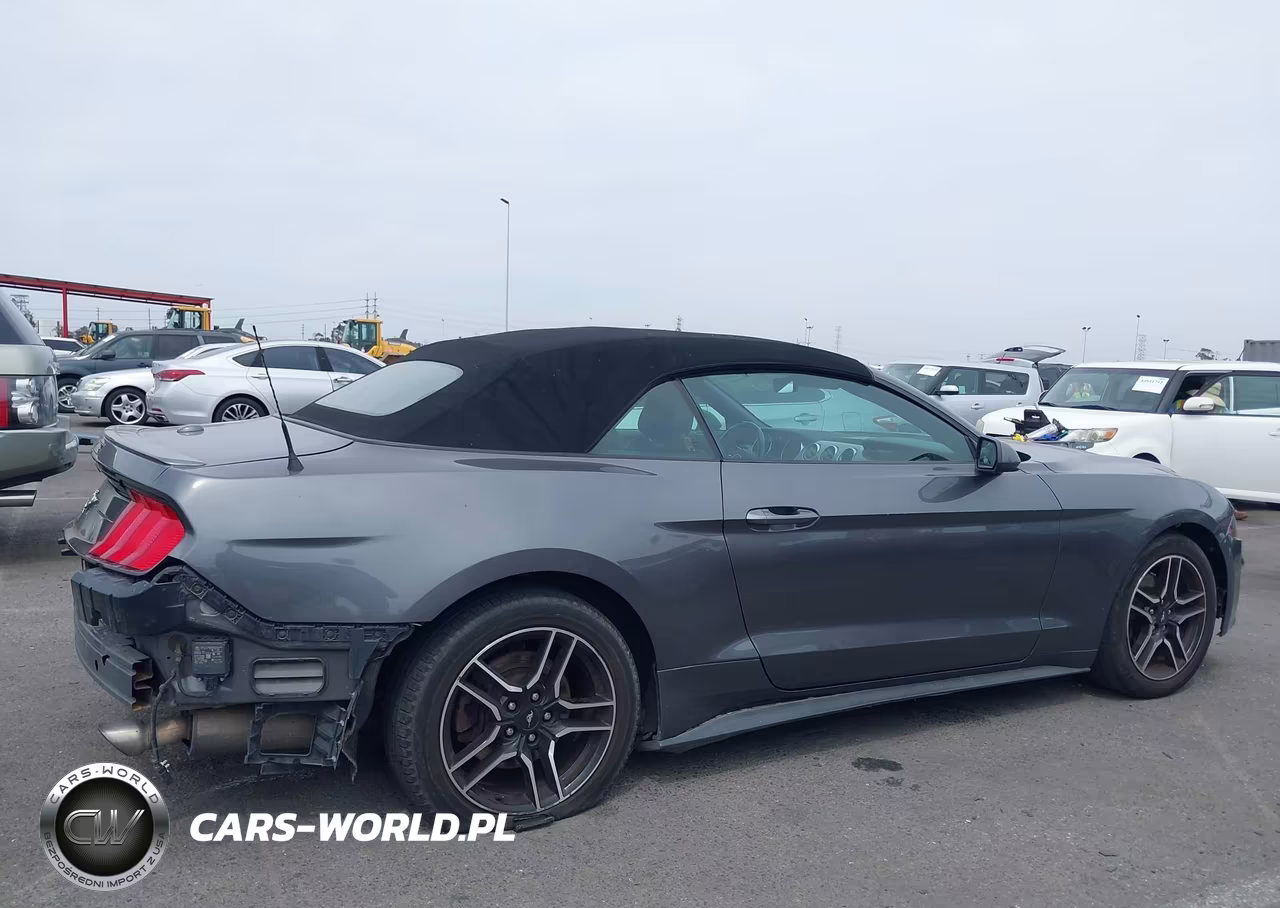 2021 Ford Mustang Ecoboost Premium VIN:1FATP8UH9M5120613 - 13