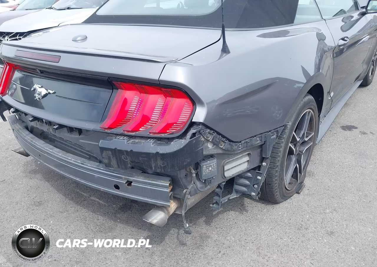 2021 Ford Mustang Ecoboost Premium VIN:1FATP8UH9M5120613 - 17