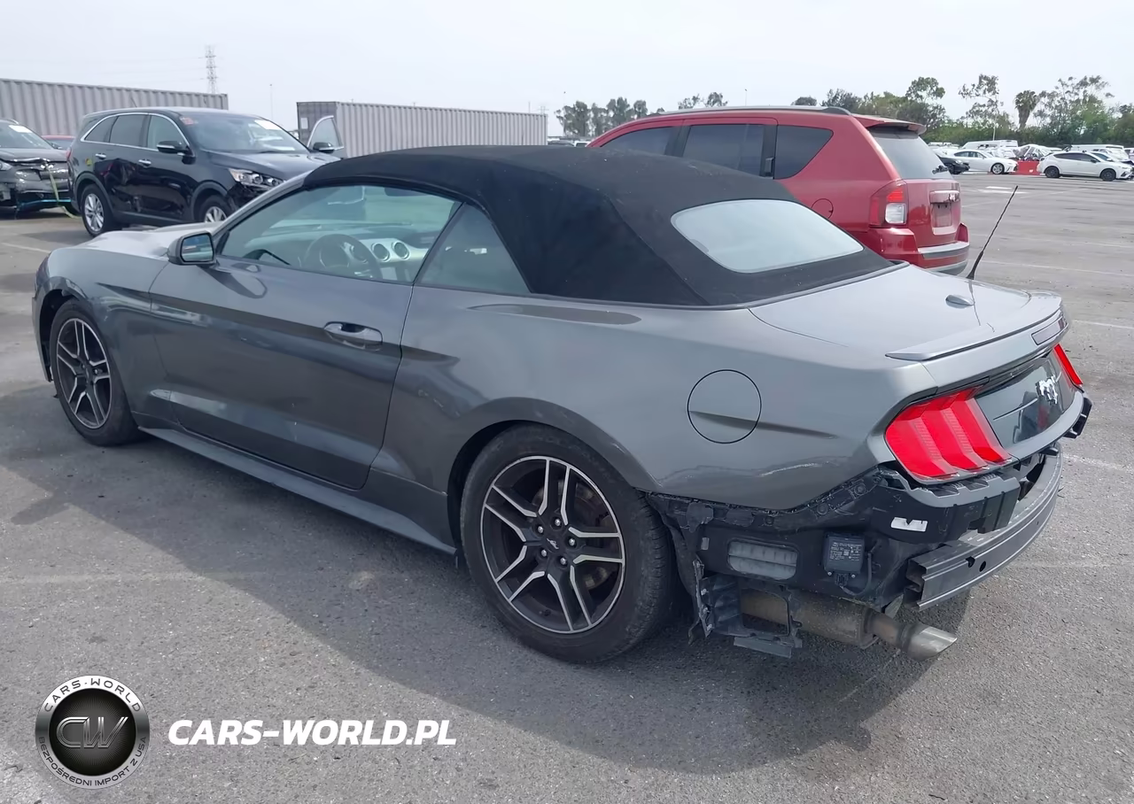 2021 Ford Mustang Ecoboost Premium VIN:1FATP8UH9M5120613 - 3