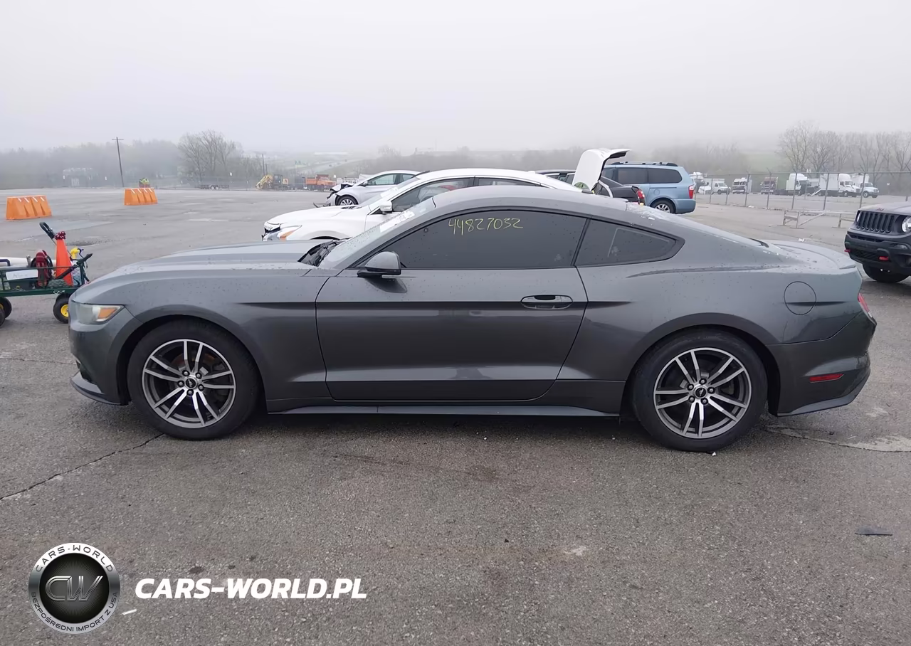 2015 Ford Mustang Ecoboost VIN:1FA6P8TH8F5299714 - 14