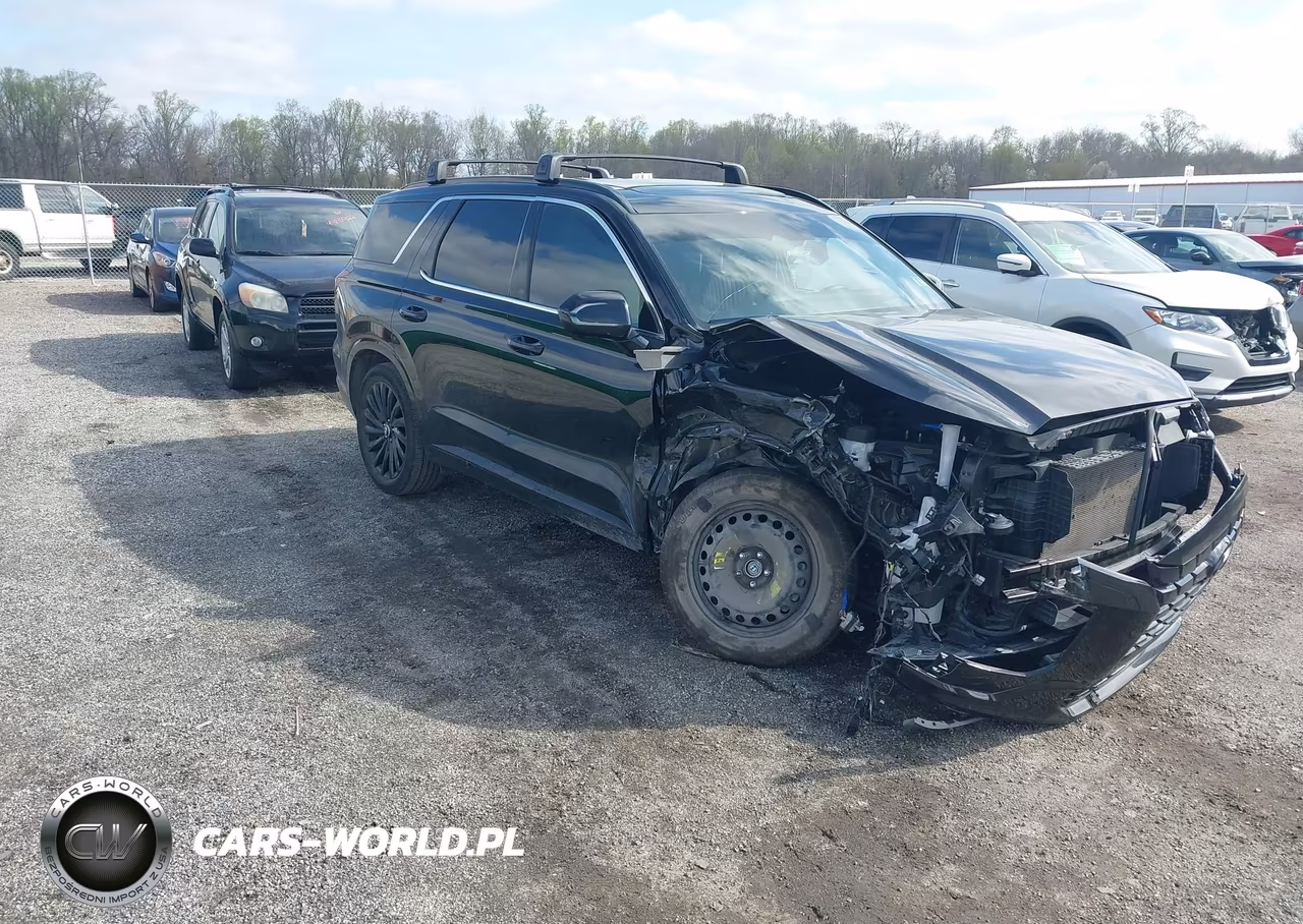 2025 Hyundai Palisade Calligraphy Night Edition – zdjęcie 1 z 16