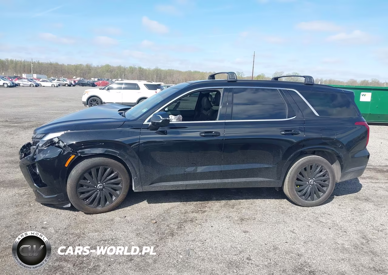 2025 Hyundai Palisade Calligraphy Night Edition VIN:KM8R7DGE0SU836071 - 14