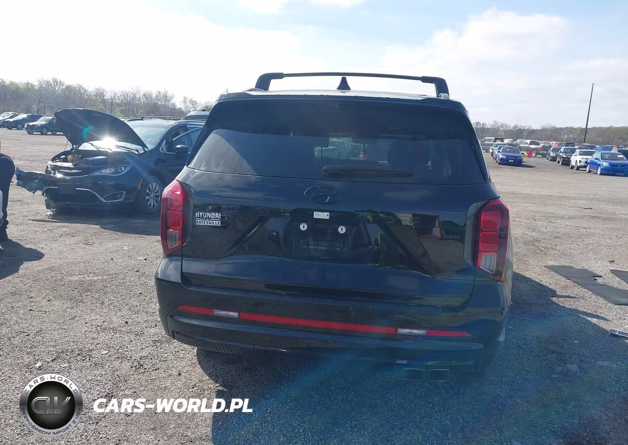2025 Hyundai Palisade Calligraphy Night Edition VIN:KM8R7DGE0SU836071 - 16