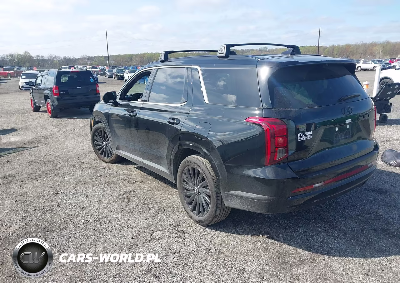 2025 Hyundai Palisade Calligraphy Night Edition VIN:KM8R7DGE0SU836071 - 3