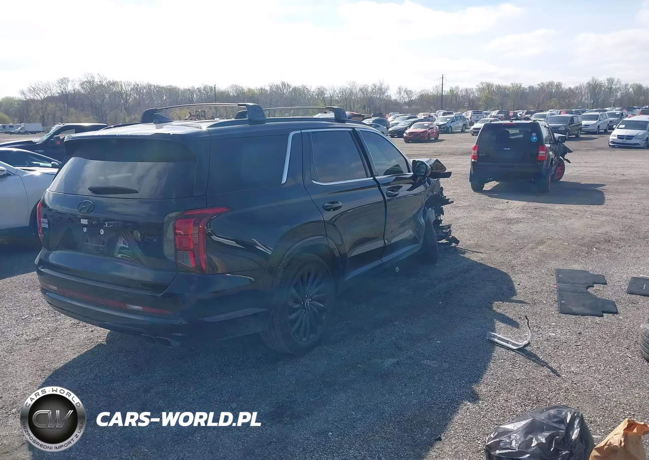 2025 Hyundai Palisade Calligraphy Night Edition VIN:KM8R7DGE0SU836071 - 4