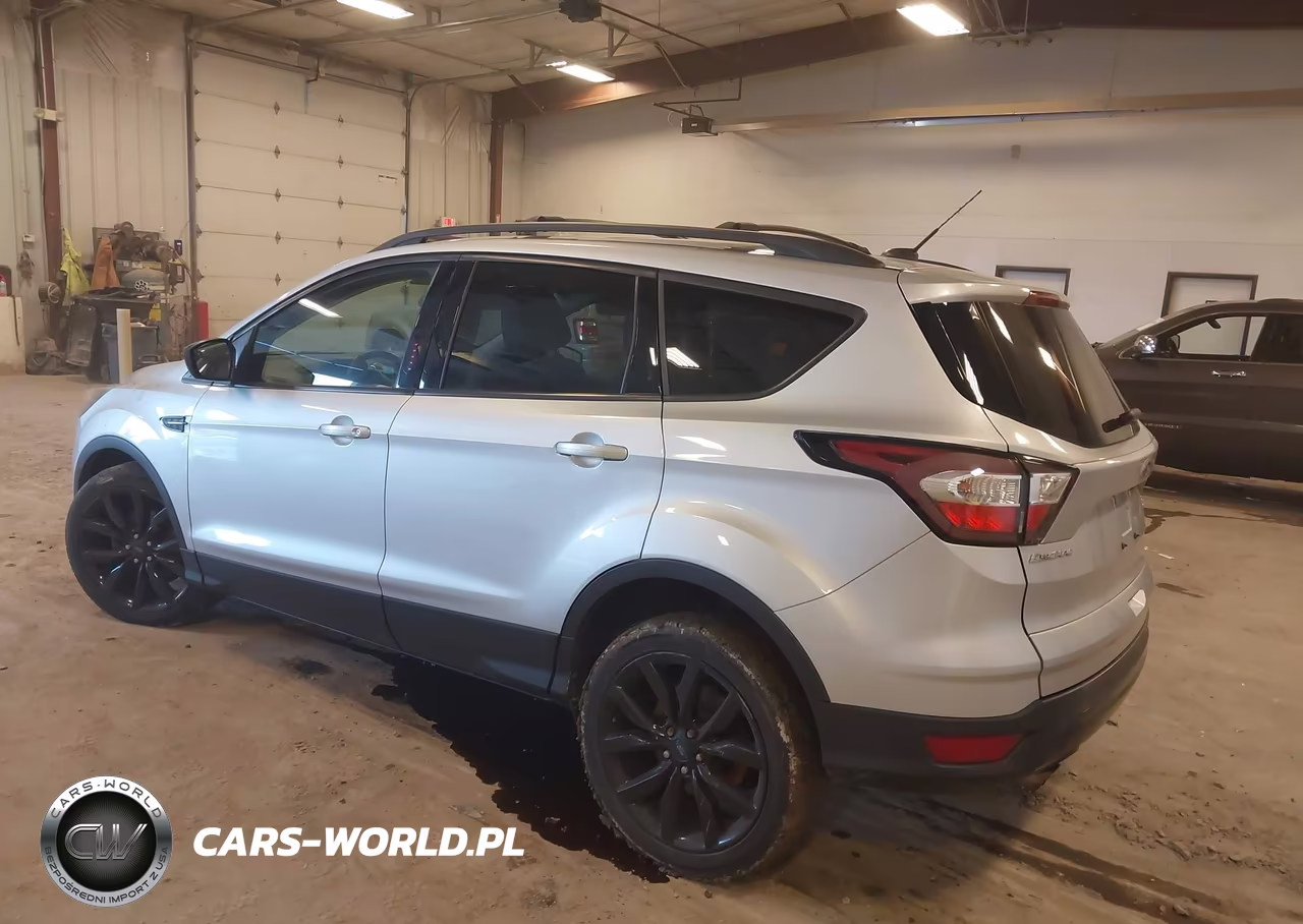2017 Ford Escape Se VIN:1FMCU0GD3HUD93079 - 3