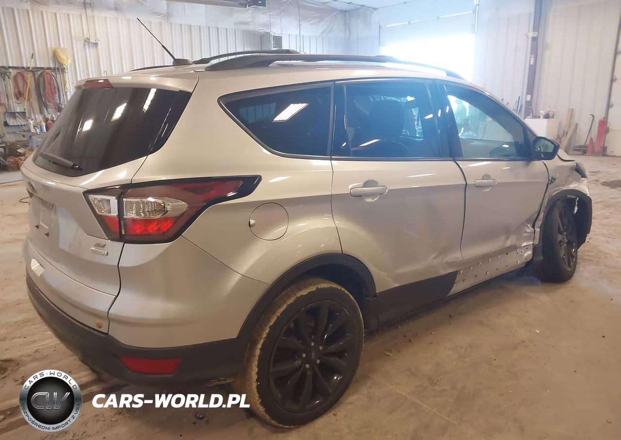 2017 Ford Escape Se VIN:1FMCU0GD3HUD93079 - 4