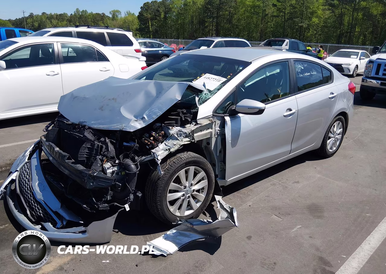 2014 Kia Forte Lx VIN:KNAFX4A68E5079313 - 2