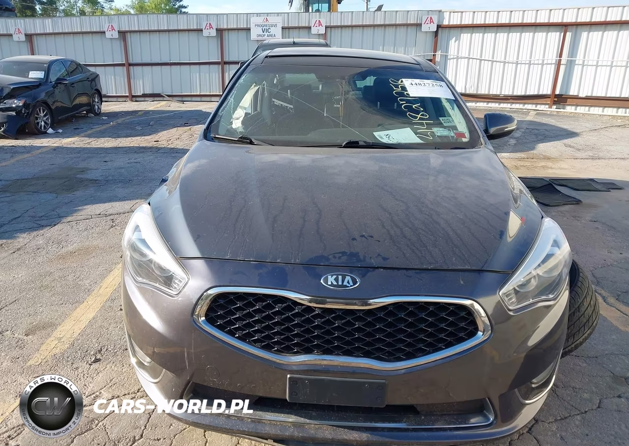 2015 Kia Cadenza Premium VIN:KNALN4D71F5168445 - 12