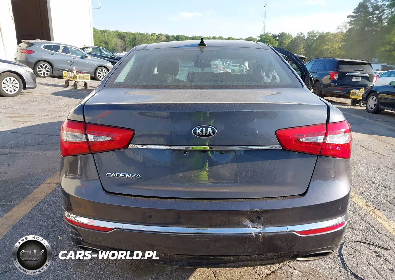 2015 Kia Cadenza Premium VIN:KNALN4D71F5168445 - 16