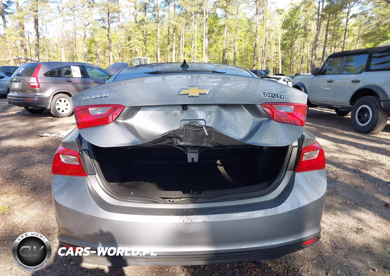 2023 Chevrolet Malibu Fwd 1Fl VIN:1G1ZC5ST6PF172634 - 15