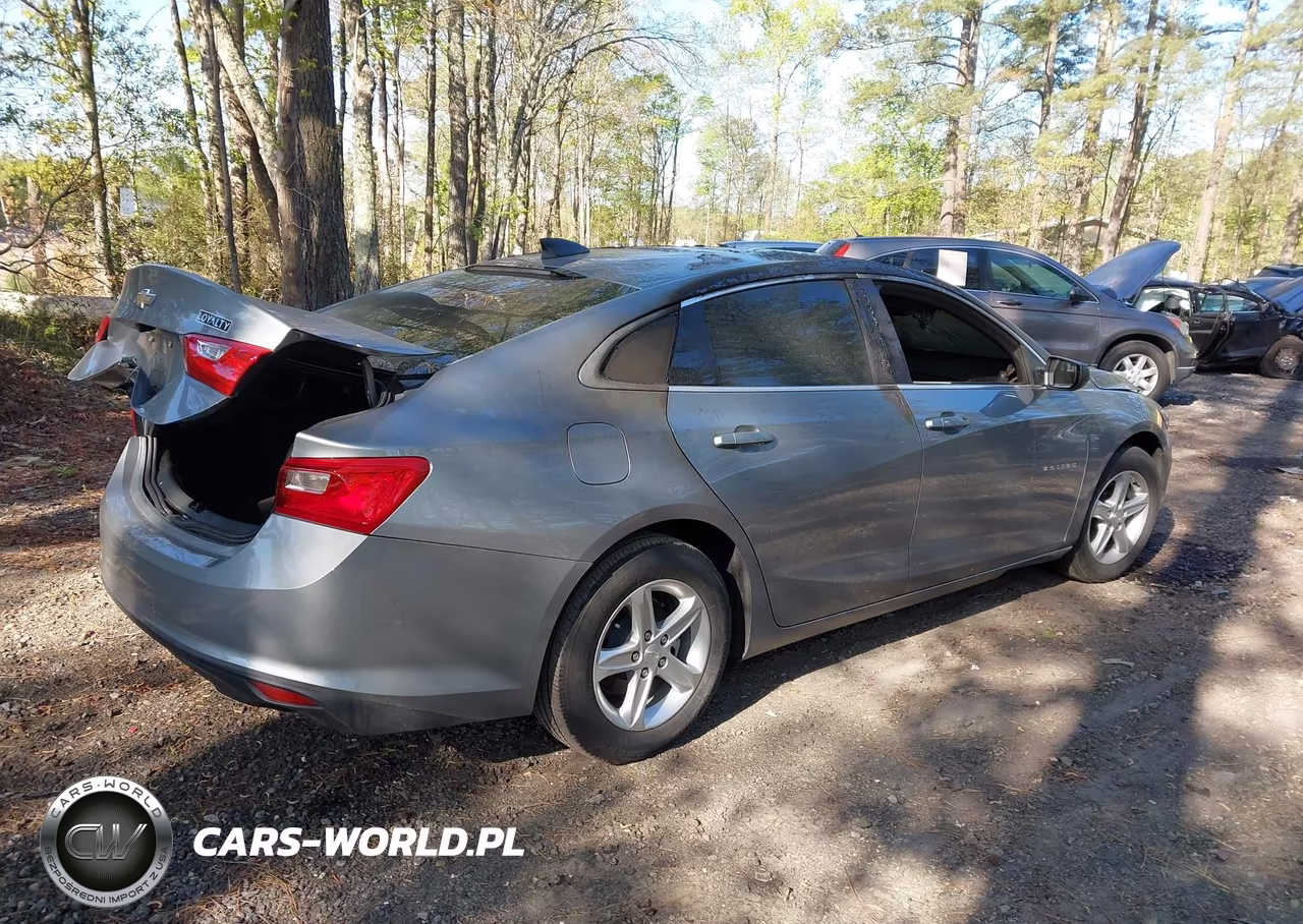 2023 Chevrolet Malibu Fwd 1Fl VIN:1G1ZC5ST6PF172634 - 4
