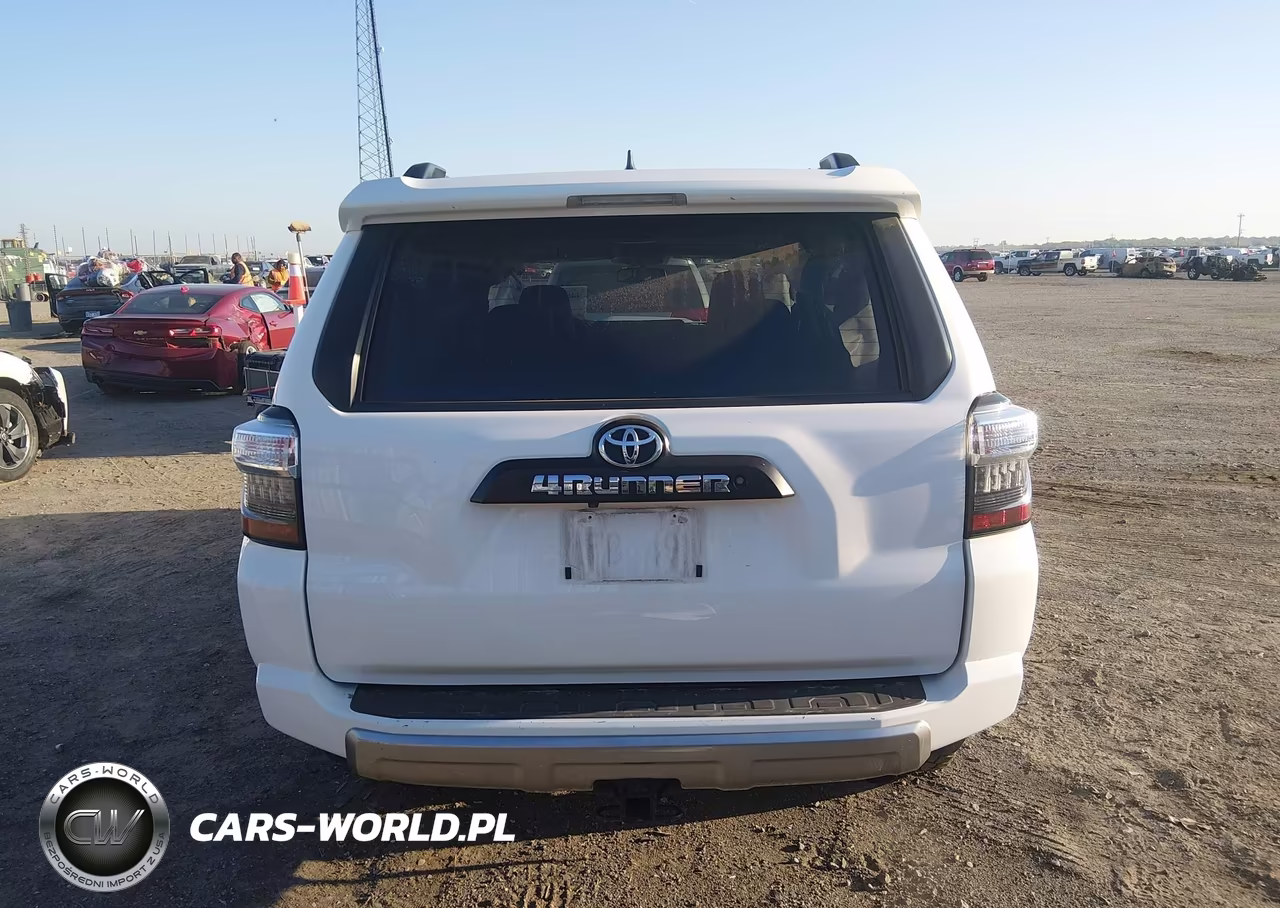 2019 Toyota 4Runner Trd Off Road Premium VIN:JTEBU5JR1K5655227 - 17
