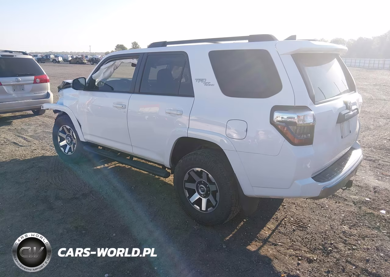 2019 Toyota 4Runner Trd Off Road Premium VIN:JTEBU5JR1K5655227 - 3