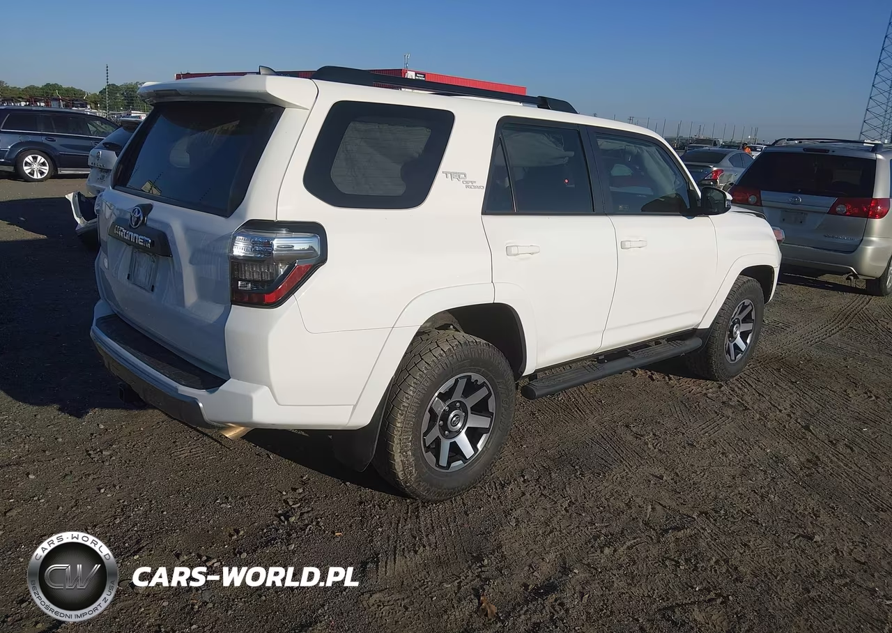 2019 Toyota 4Runner Trd Off Road Premium VIN:JTEBU5JR1K5655227 - 4