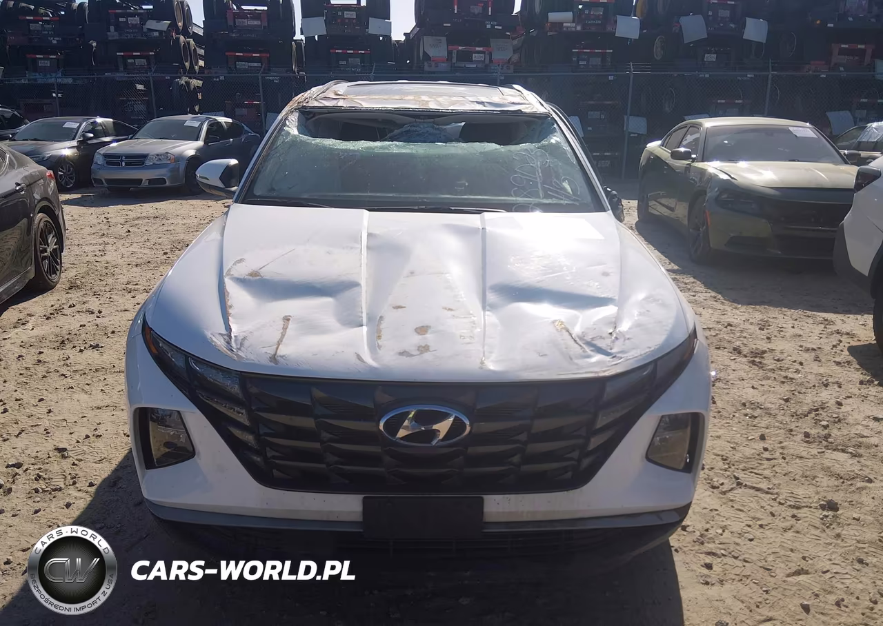 2023 Hyundai Tucson Sel VIN:5NMJFCAE6PH289023 - 11