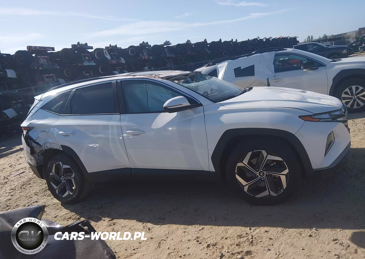 2023 Hyundai Tucson Sel VIN:5NMJFCAE6PH289023 - 12