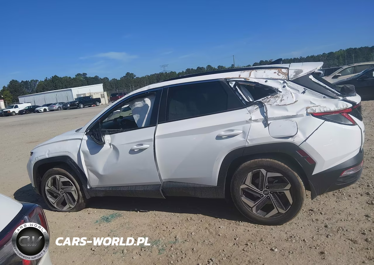 2023 Hyundai Tucson Sel VIN:5NMJFCAE6PH289023 - 13