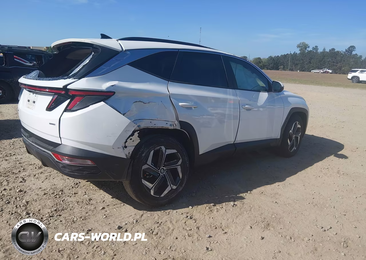 2023 Hyundai Tucson Sel VIN:5NMJFCAE6PH289023 - 4
