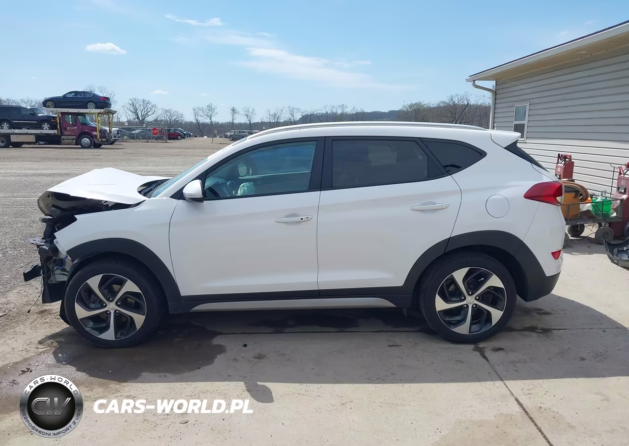 2017 Hyundai Tucson Sport VIN:KM8J3CA23HU269574 - 15