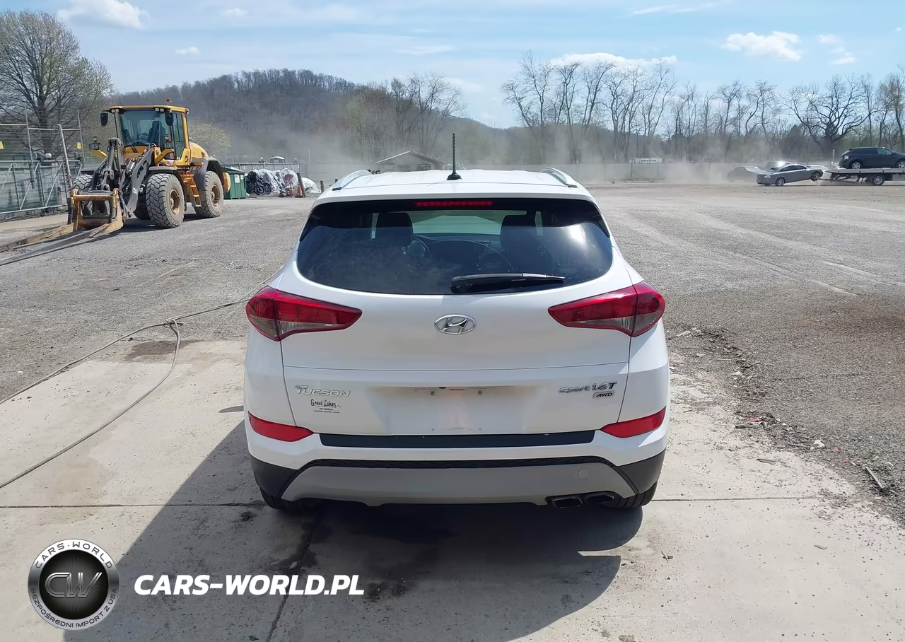 2017 Hyundai Tucson Sport VIN:KM8J3CA23HU269574 - 17