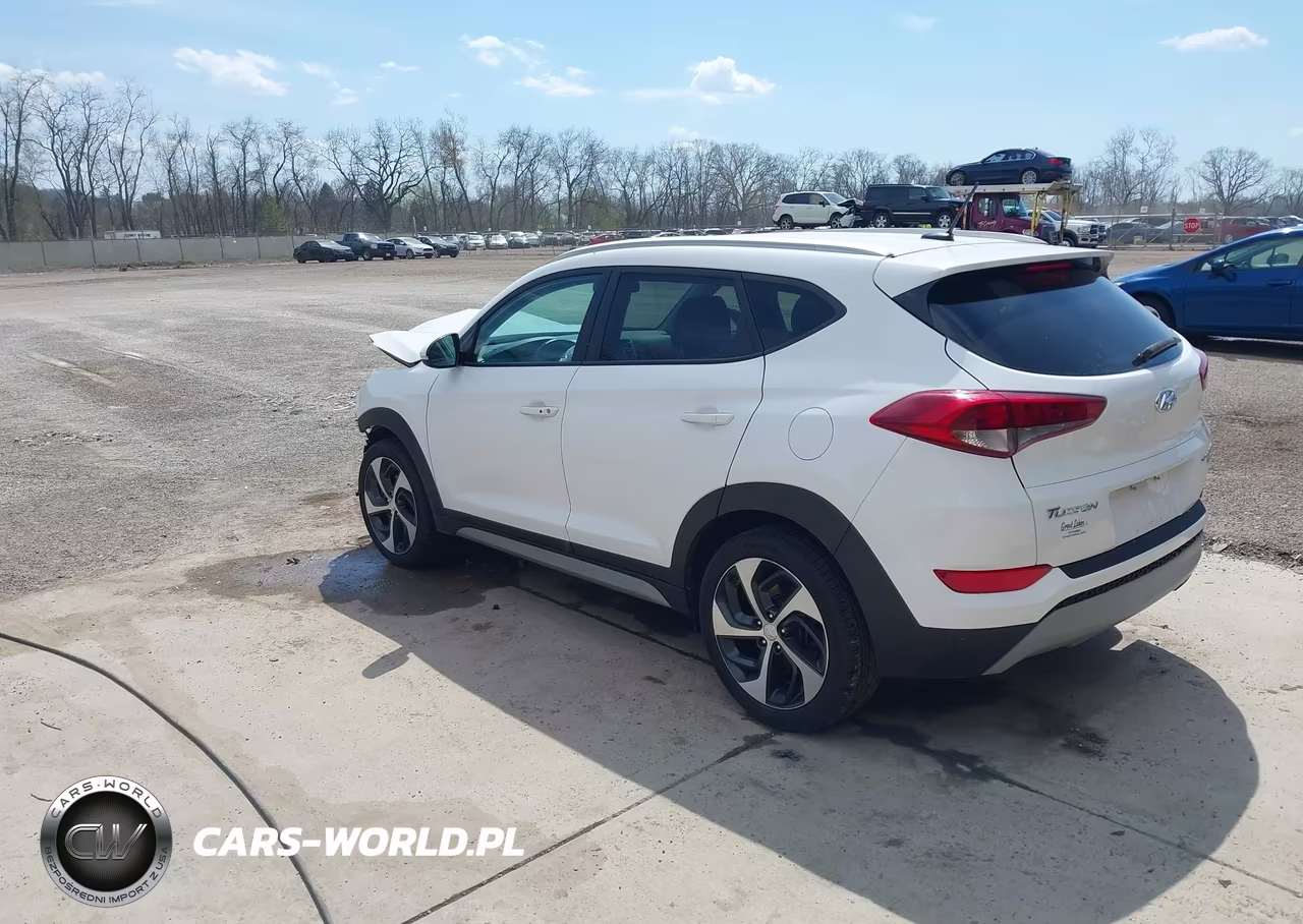 2017 Hyundai Tucson Sport VIN:KM8J3CA23HU269574 - 3