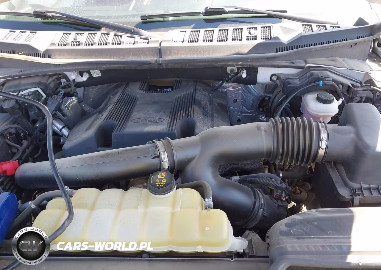 2019 Ford F-150 Xlt VIN:1FTFW1E40KFC91318 - 10
