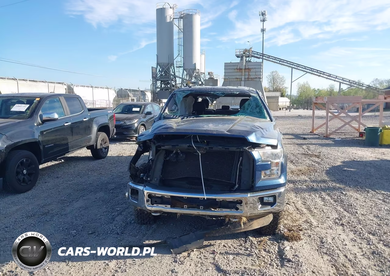 2015 Ford F-150 Xlt VIN:1FTFW1EF7FFB80014 - 13