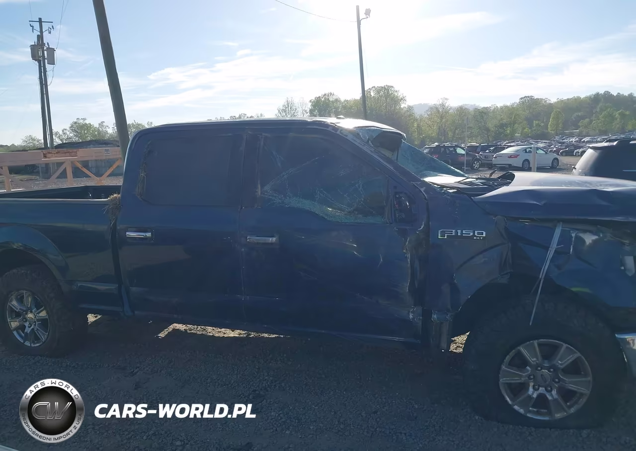 2015 Ford F-150 Xlt VIN:1FTFW1EF7FFB80014 - 14