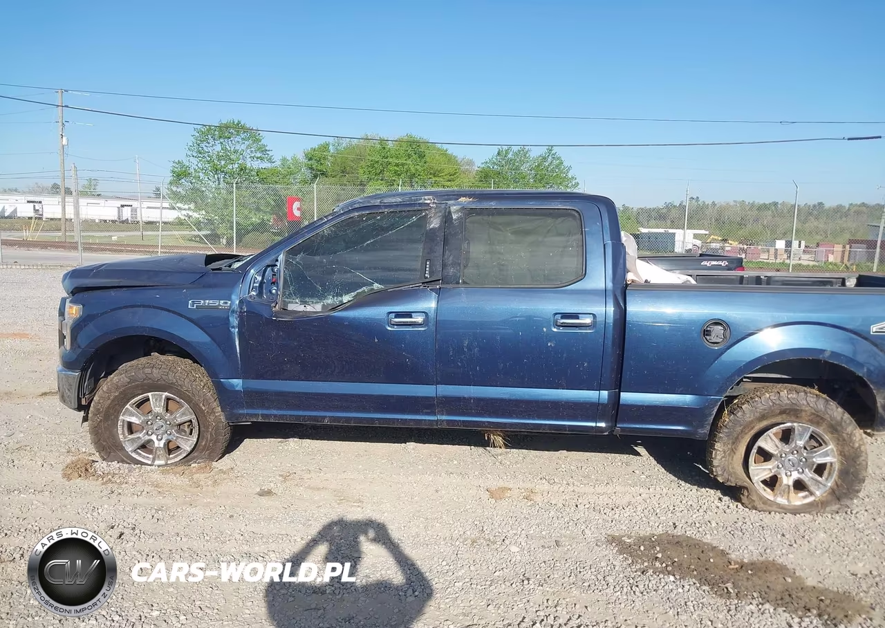 2015 Ford F-150 Xlt VIN:1FTFW1EF7FFB80014 - 15