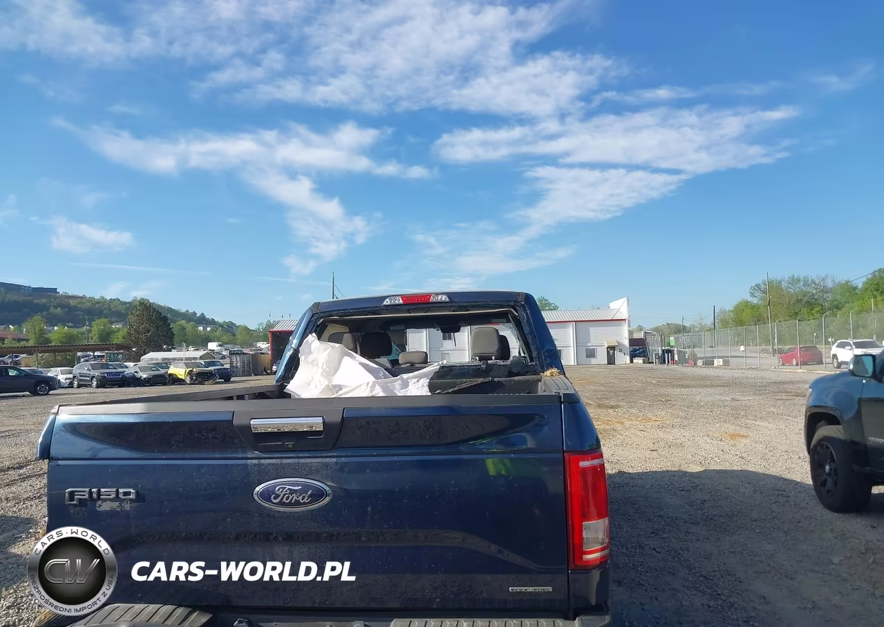 2015 Ford F-150 Xlt VIN:1FTFW1EF7FFB80014 - 17