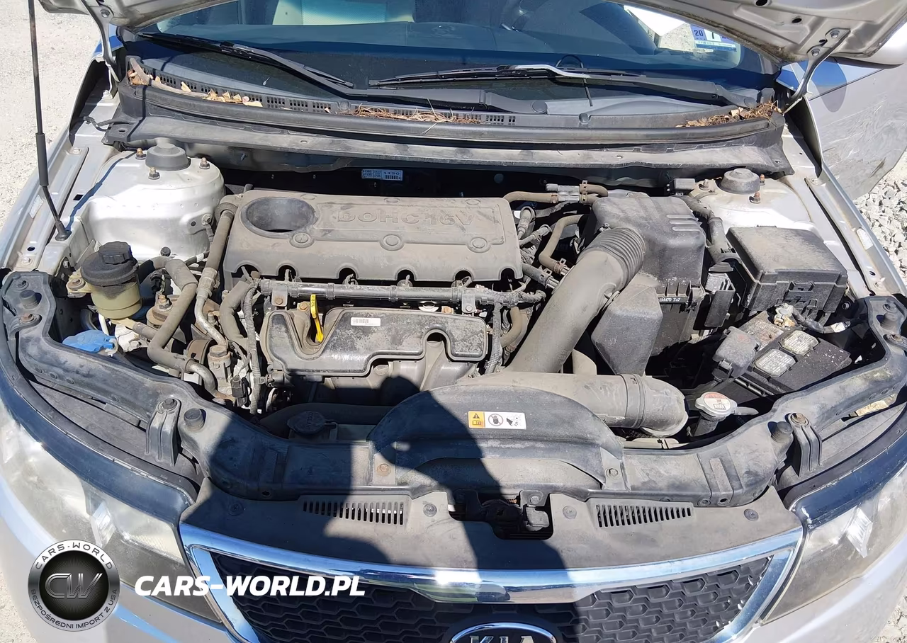 2013 Kia Forte Lx VIN:KNAFT4A28D5723724 - 10