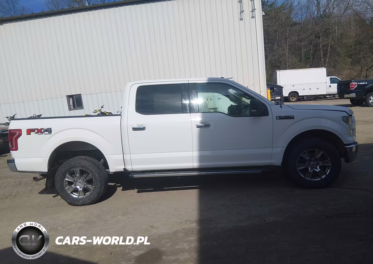 2016 Ford F-150 Xlt VIN:1FTEW1EF9GFC24589 - 13