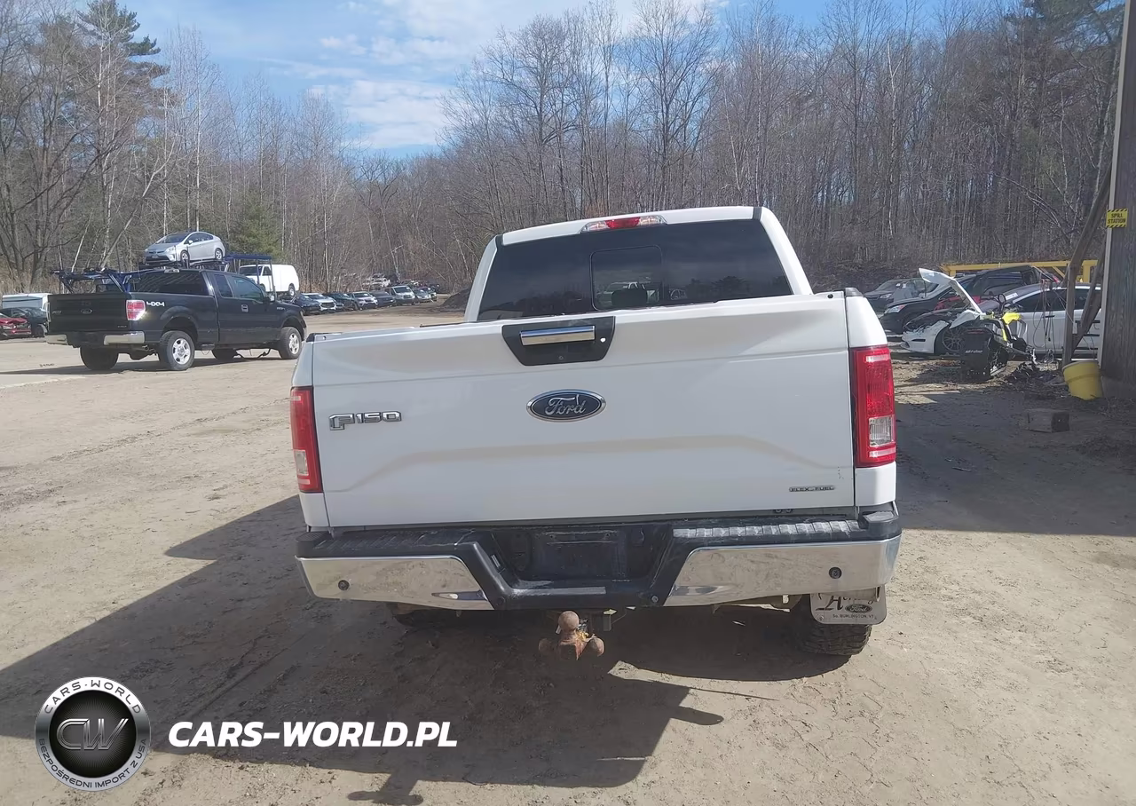 2016 Ford F-150 Xlt VIN:1FTEW1EF9GFC24589 - 16