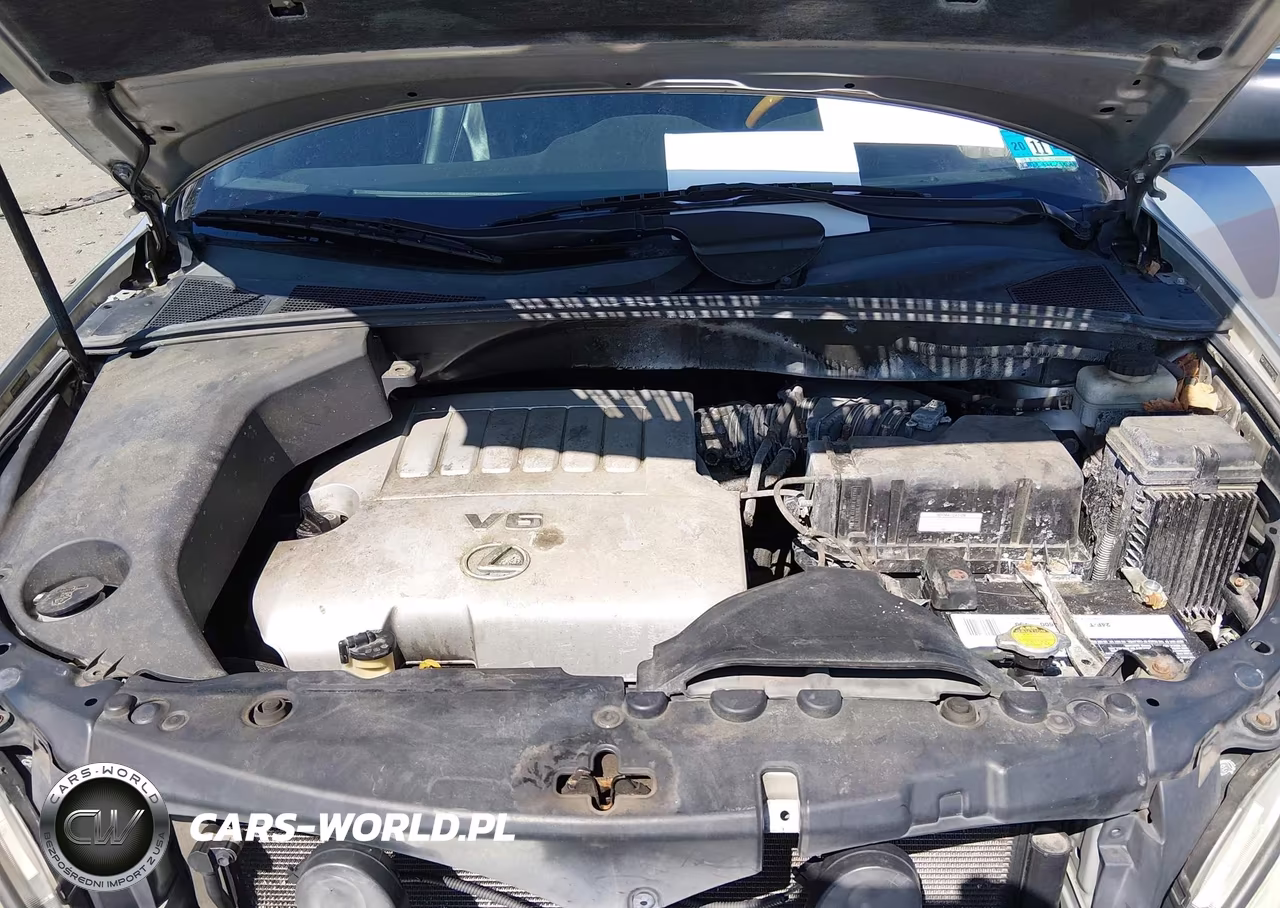 2007 Lexus Rx 350 VIN:2T2HK31U37C042349 - 10