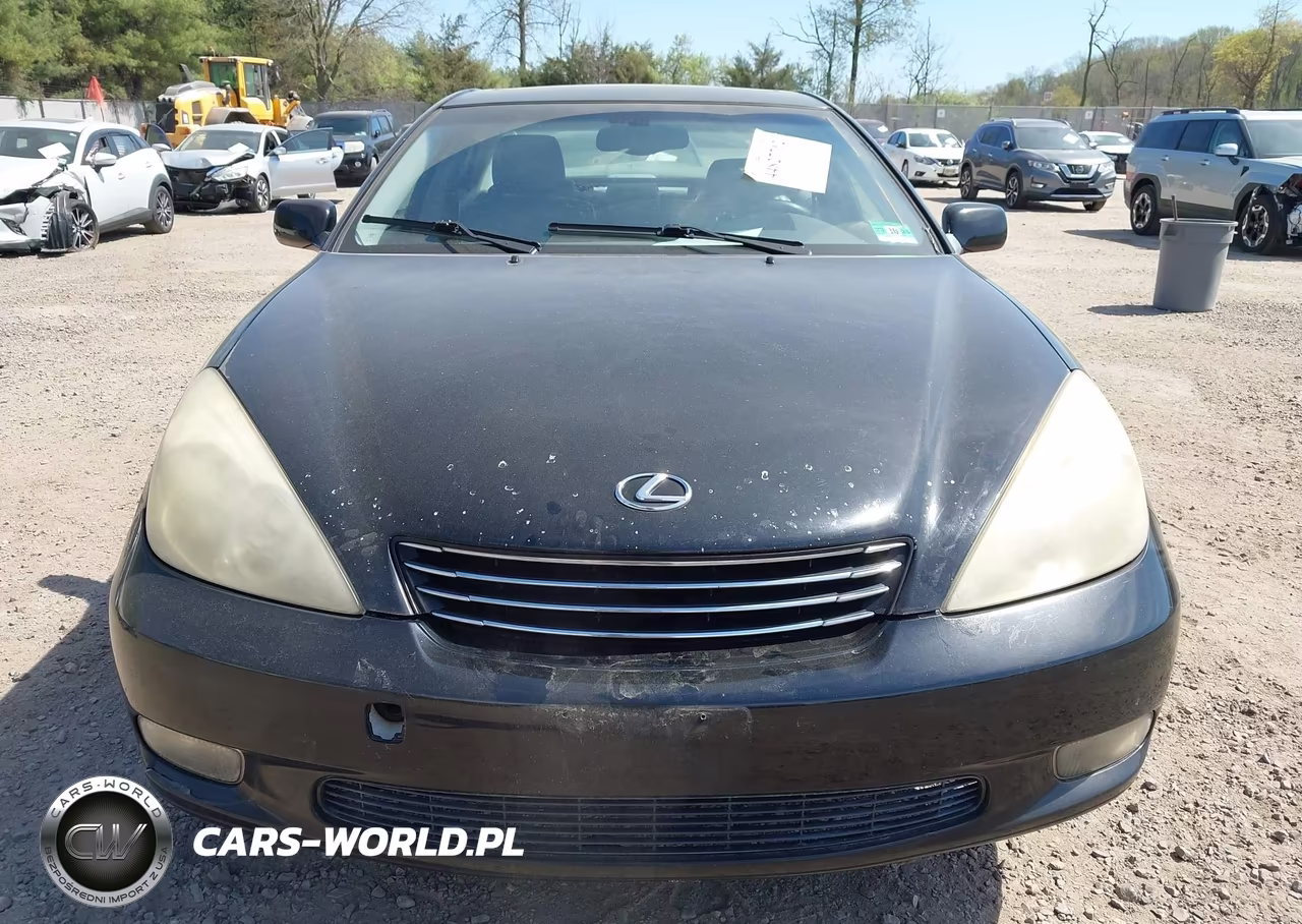 2004 Lexus Es 330 VIN:JTHBA30G145051521 - 12